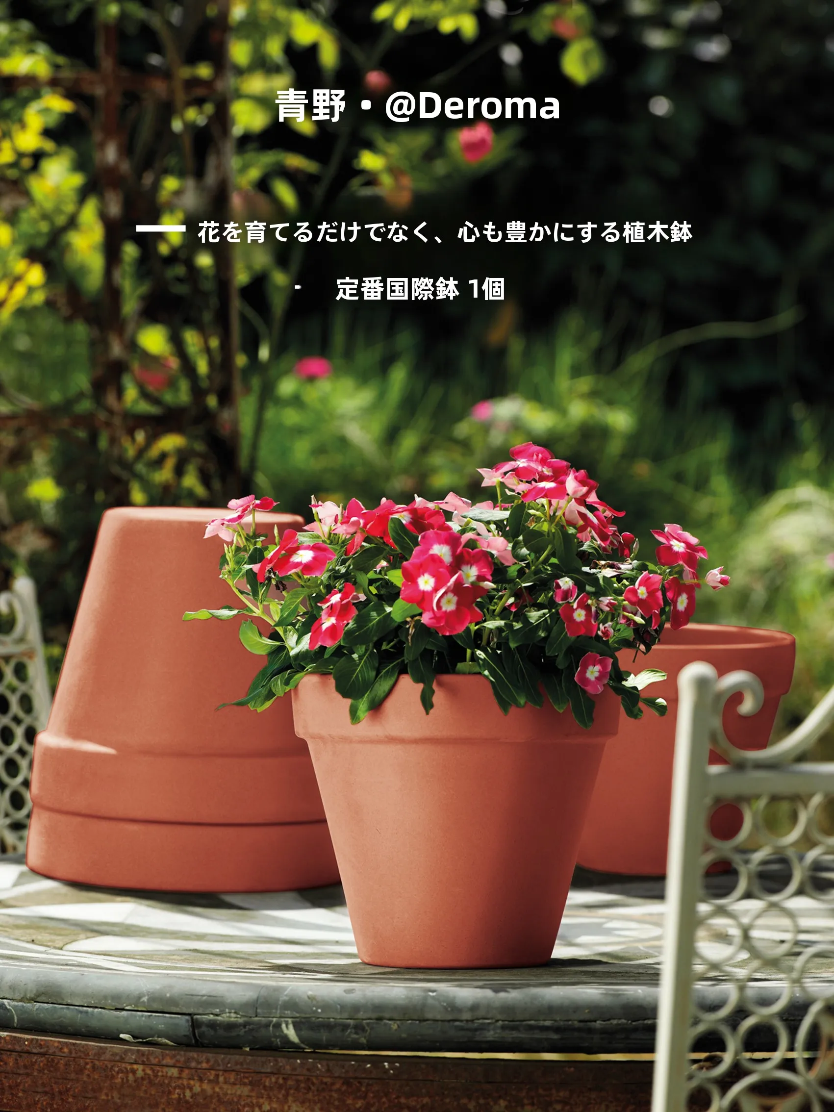 陶製 大口径プランター【通気性に優れたデザイン・多肉植物や吊り植物向け】 おうち時間を豊かにするおすすめアイテム