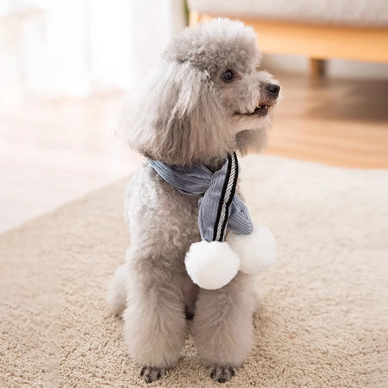 毛糸編みの愛らしい犬用ボンボンスカーフ：冬用暖かさとデザインのバランスを実証