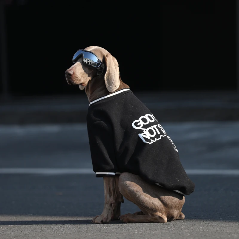 大型犬用ウェア：春秋対応のフーディーで日常のスタイルを整える