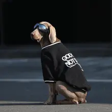 大型犬用ウェア【春秋用・フーディー・ラブラドール・ゴールデン・サモエド対応】