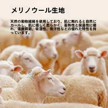 灰色のメリノウール製速乾ハイウエスト女性用三角ショーツ【抗菌・スポーツ・アウトドア対応】