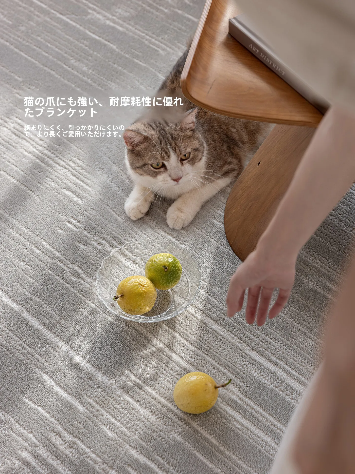 モダンな雰囲気のリビングルームラグ：高級感とメンテナンスフリーを実現