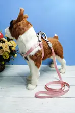 調節可能なペット用ハーネスリード【小型犬用・防脱出設計】