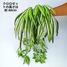 リアルなデザインのフェイクグリーンバルコニー装飾【ペルシャリーフ・室内用・背景緑化】