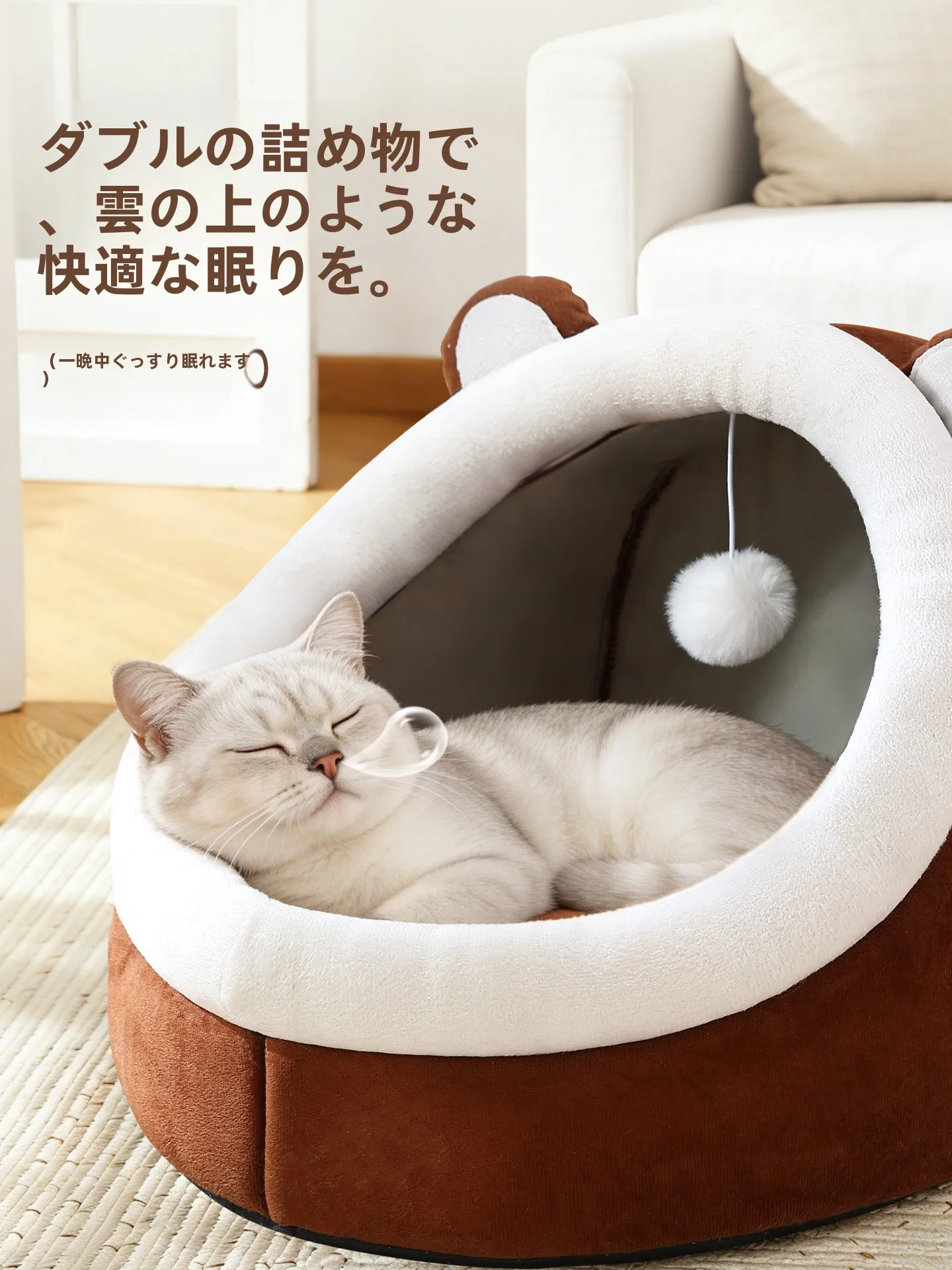 猫用ベッドを洗えるようにするには？本当の安心感を届ける選び方