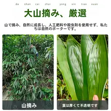 小竹葉の寿司盛り皿【焼肉・日本食・小粽葉】