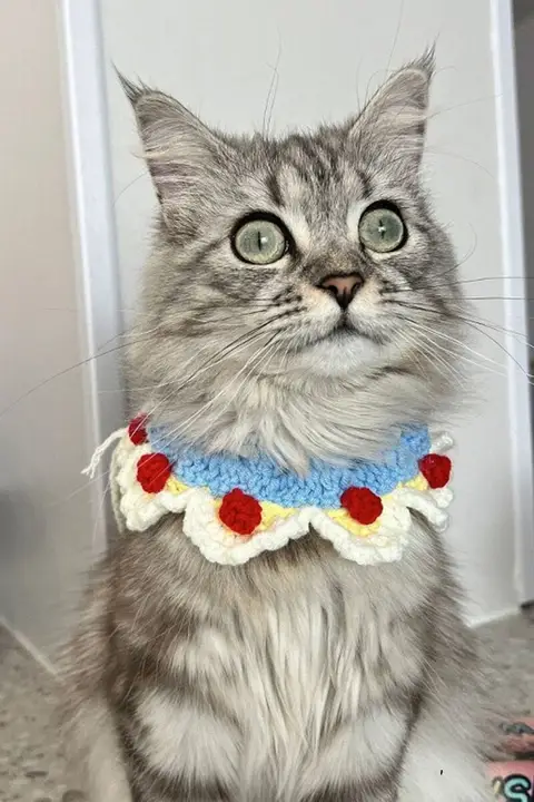 手作り猫用首輪【かわいい花飾り・ペット用・編み込みデザイン】
