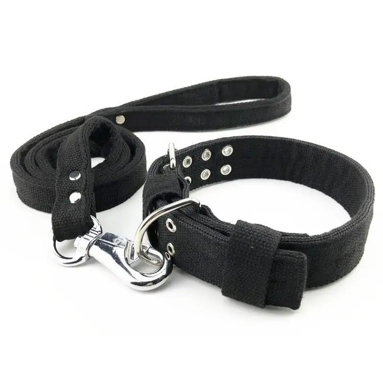 犬のお散歩グッズをコスパ良く揃える方法｜コットン製カラー＆リードセットの実測ガイド