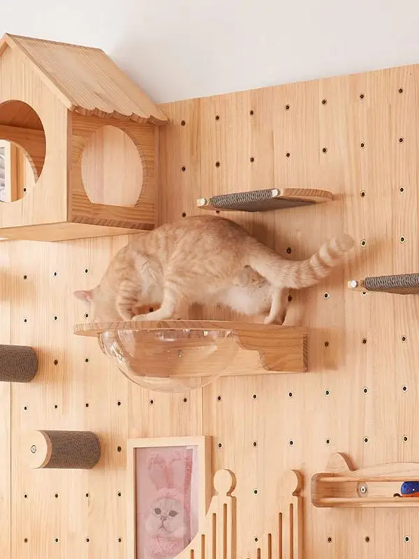 猫飼いが買ってよかったもの・悪かったもの正直に 言う｜壁掛け実木キャットタワーの構造と効果