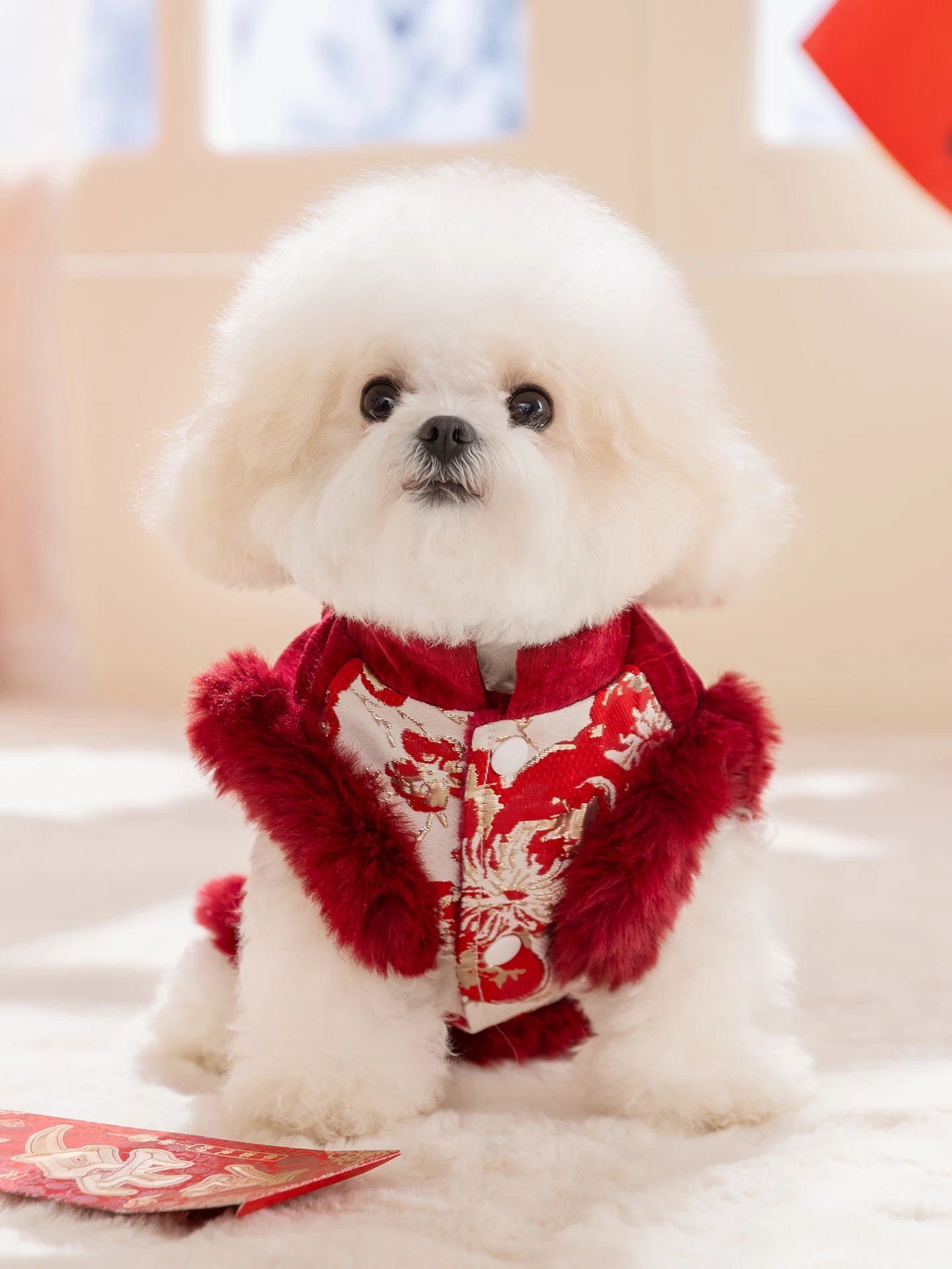 hipidog ペット用唐装ベスト：チワワにぴったりの冬用保暖服の実用性と選定基準