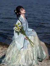 春の漢服【明制交領・二色デザイン・馬面スカート・上着とスカートのセットアップ対応】