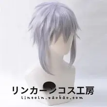 銀灰色のキャラクターコスプレウィッグ【ロングサイドテール・王国の心】