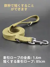 大型犬用 リード【短め・強化素材・金色ラブラドール犬対応】