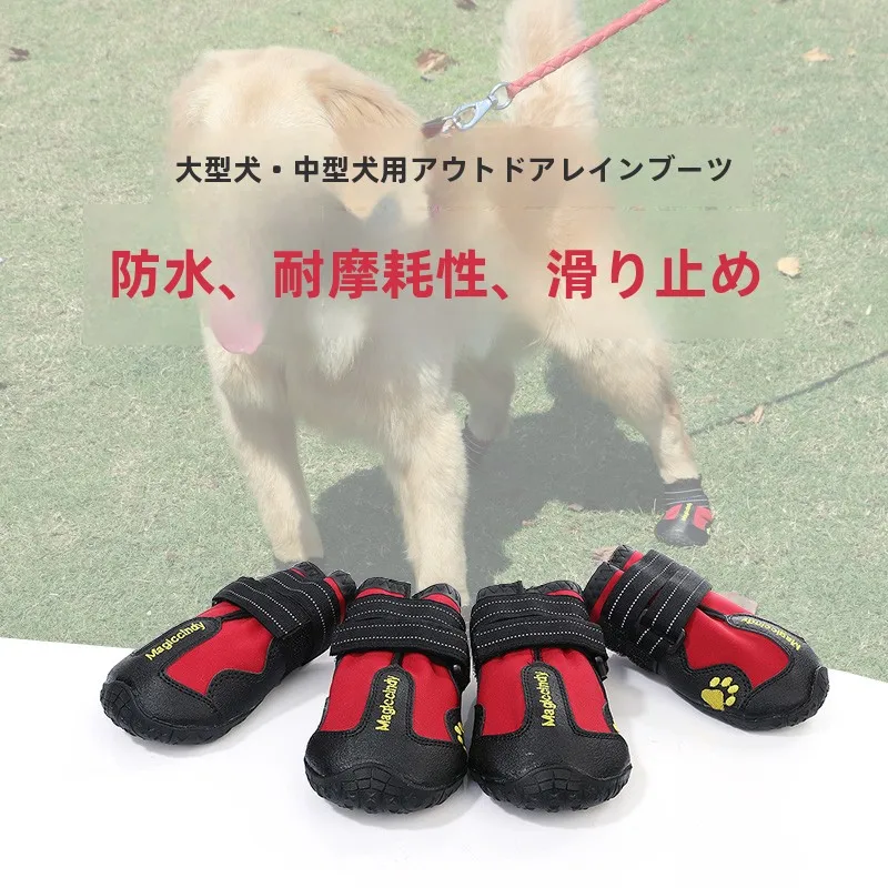 犬のお散歩グッズをコスパ良く揃える方法｜通気性と防水性を両立したシューズの選び方
