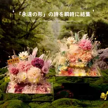 高級感ある永生花カーネーションの花束ギフトボックス【母の日・誕生日・教師の日用】