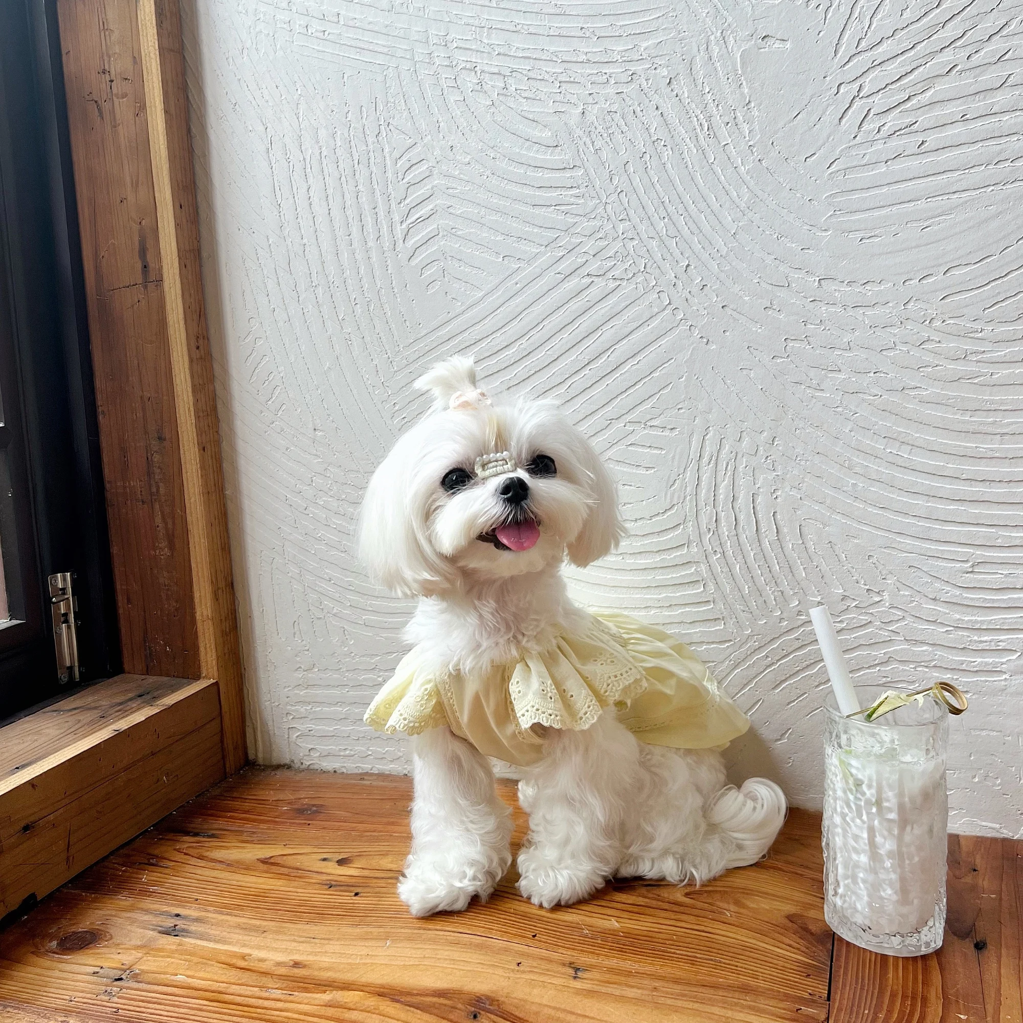 高級染色ケーキカラーのワンピース：小型犬用の日常通気性に優れた連身裙