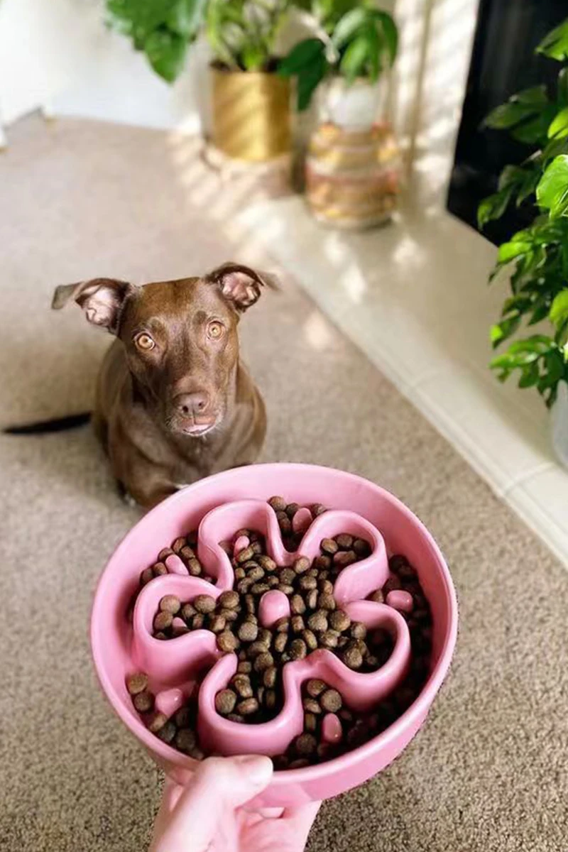 陶器製の犬用スローフードボウル【ピンク・倒れにくいデザイン・中型大用】（セットアップ対応）