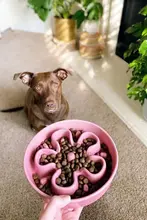 陶器製の犬用スローフードボウル【ピンク・倒れにくいデザイン・中型大用】（セットアップ対応）