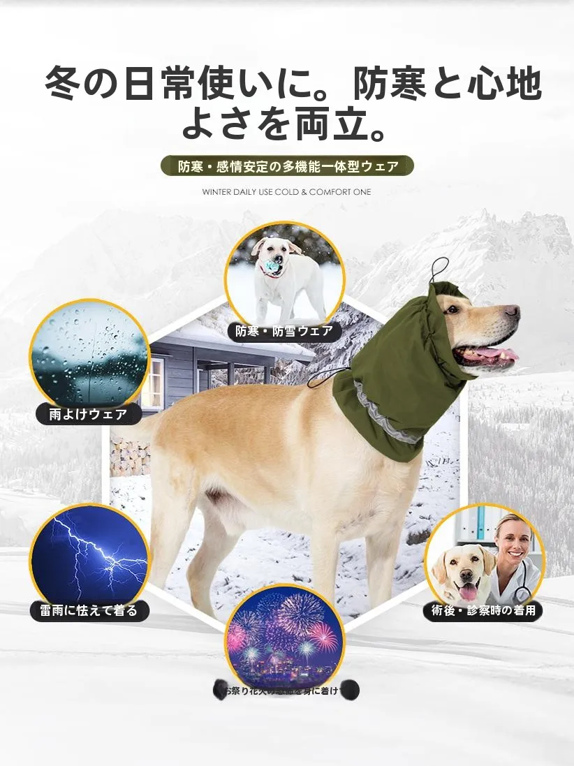 冬の寒さに負けない犬の安らぎフードは、どう選ぶ？