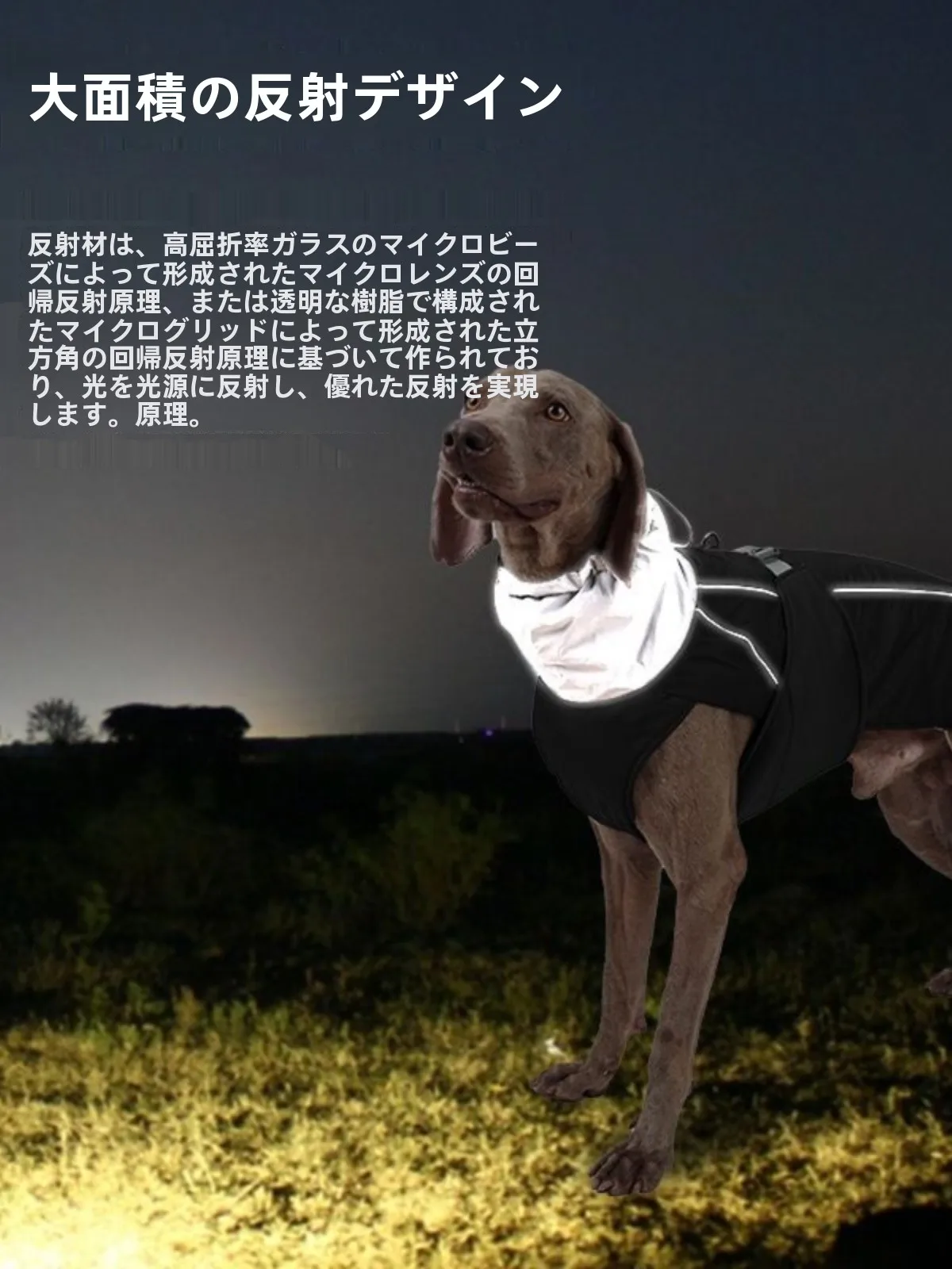 猫飼いが買ってよかったもの・悪かったもの正直に言う｜冬用コットンジャンパーの実測ガイド