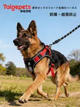 大型犬用 防爆型 ハーネス付きリード【中型犬・散歩用】