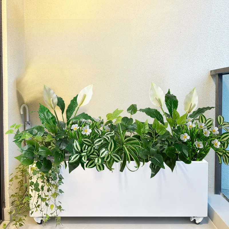 揃えるミニマリスト部屋づくりアイテム | 手入れ不要の植物選びの完全ガイド