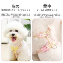 中小型犬用透気性ハーネス付リード【調整可能・コーギー・ビションフリーゼ対応】