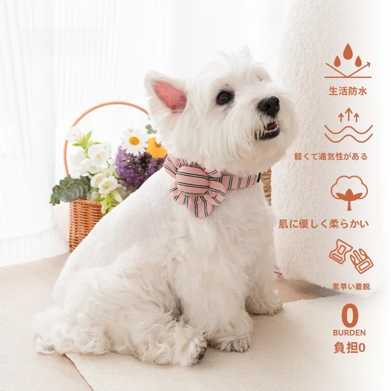 花柄ストライプの犬用首輪【小型犬用・リード付き】の実用性と選び方