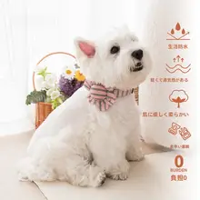 花柄ストライプの犬用首輪【小型犬用・リード付き】