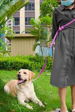防水PVC製多機能犬用リード【ブルー・肩掛けデザイン・手が自由になる】