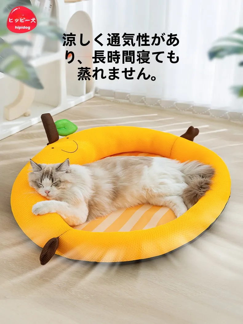 ペットのクッシ ョンを選ぶときに迷うのは、本当に「どんな素材がいいか」なのか？