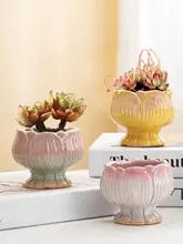 植木鉢 多肉植物用 陶器 グラデーション 花型 カラフル シンプル ミニ おしゃれ 「JOJO'S L. PD.Fulu.」