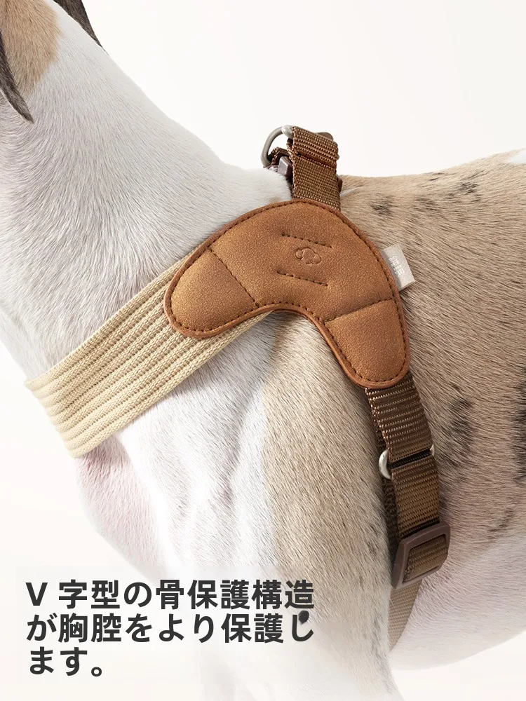 犬のお散歩グッズをコスパ良く揃える方法｜首に優しいハーネスの徹底解説