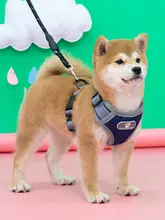 犬用ハーネスリード【中型犬対応・柴犬・胸部固定式・ペット用】