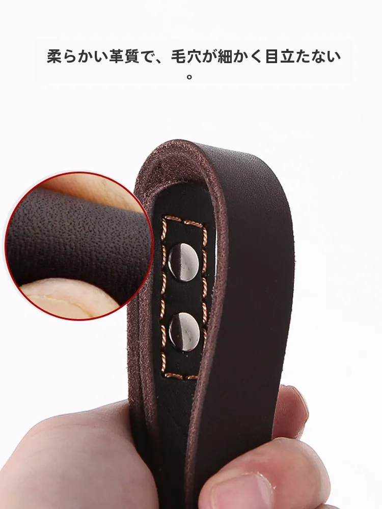 犬のお散歩グッズをコスパ良く揃える方法　完全ガイド
