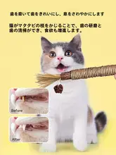 木天蓼製の歯磨き棒用猫玩具【ネコじゃらし・耐噛性・キャットミントボール付き】