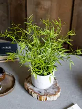 ミニ竹の葉の盆栽 偽の花 グリーン装飾 プラスチック ホーム オフィス
