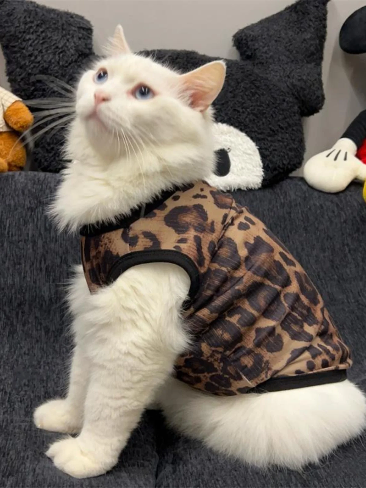猫のtシャツを選ぶときに迷うなら、この1点が解決する！