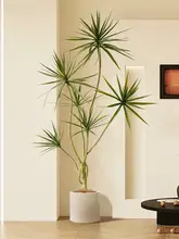 高級感ある人工緑化植物 ドラセナ【インテリア装飾・リビング用】