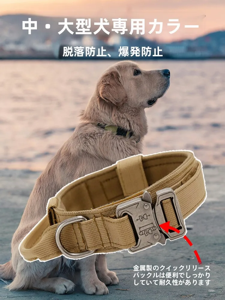 キャンプ道具を節約調達｜実際に使ってみた結果　安全固定の実用ガイド