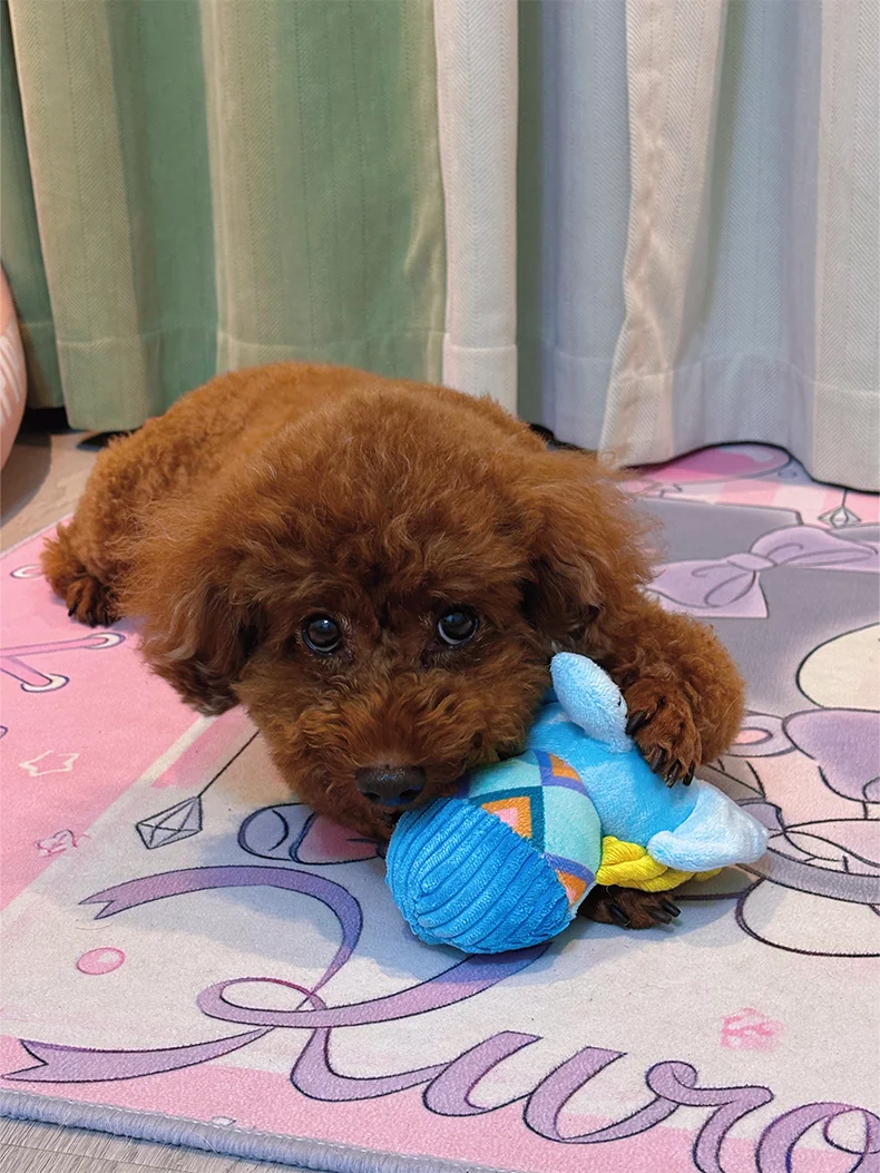 犬用おもちゃ 音 が鳴るぬいぐるみ：9ヶ月の子犬に最適なインタラクティブな遊びアイテム