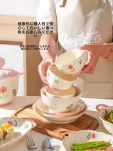 ご飯茶碗 一人用 家庭用 陶器 高級感 演出セット
