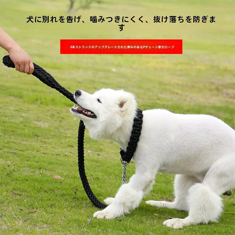 犬のお散歩グッズをコスパ良く揃える方法　自動調節リードで成長に合わせて使い続ける