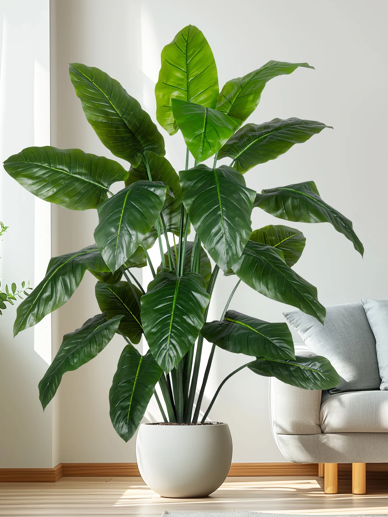梅雨に備えて買うべき！完全ガイド：植物・テーブルクロス・保存瓶の選び方