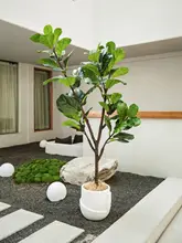 インテリアにも最適な大きな観葉植物【フィ・北欧風・室内装飾用】