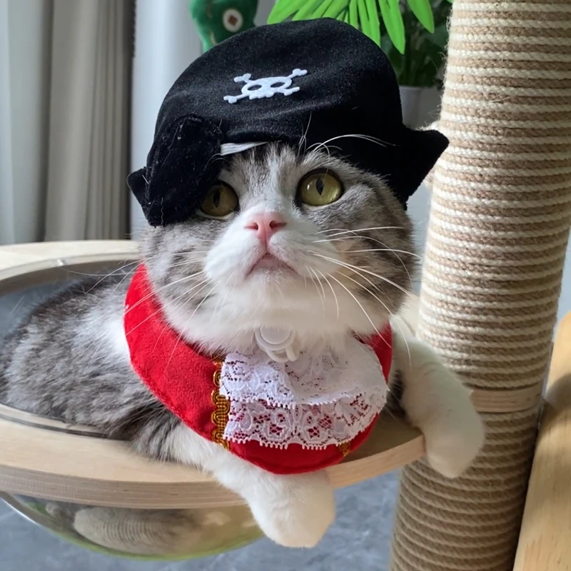 ハッピーキャットと黒マスク：ハロウィン用猫用海賊帽とアイマスクの実用性と適用シーン