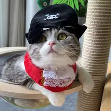 ペットコスプレ 猫用 3点セット 海賊風 帽子 アイパッチ バンダナ ハロウィン 撮影用小物 ユニーク