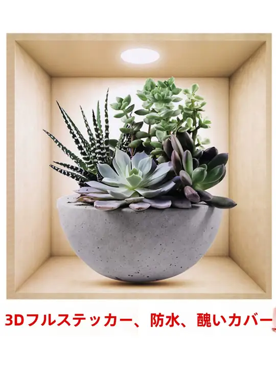 立体感のある多肉植物のウォールステッカー【インテリア用・ガラス貼り対応】