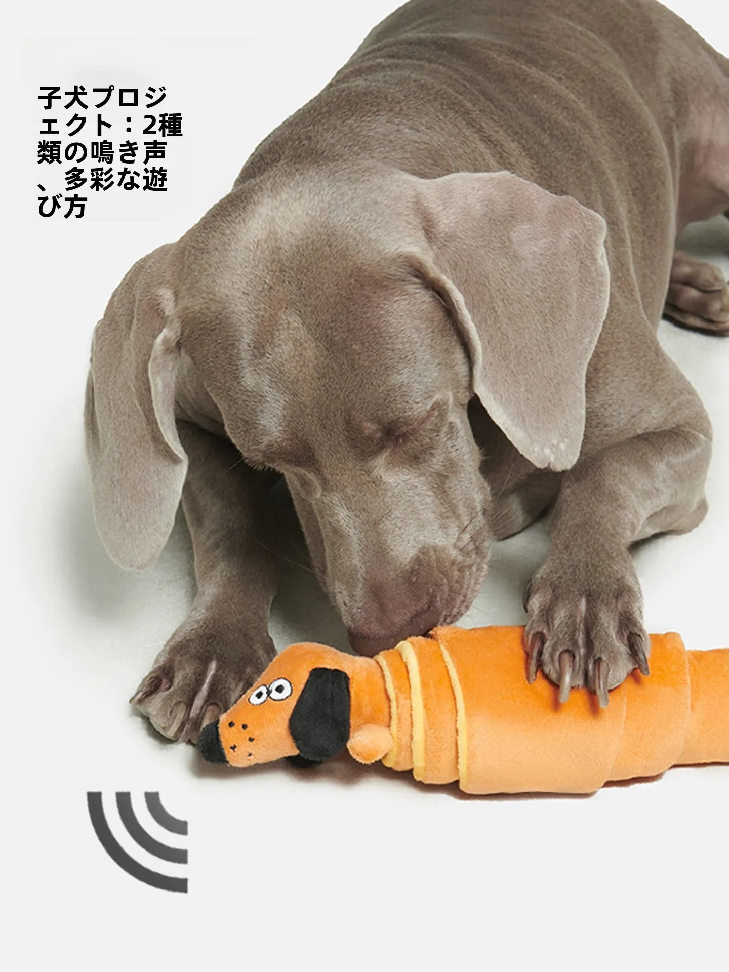 長く遊べるおもちゃって、本当に存在するの？犬との日常に響く「サクサク音」の秘密