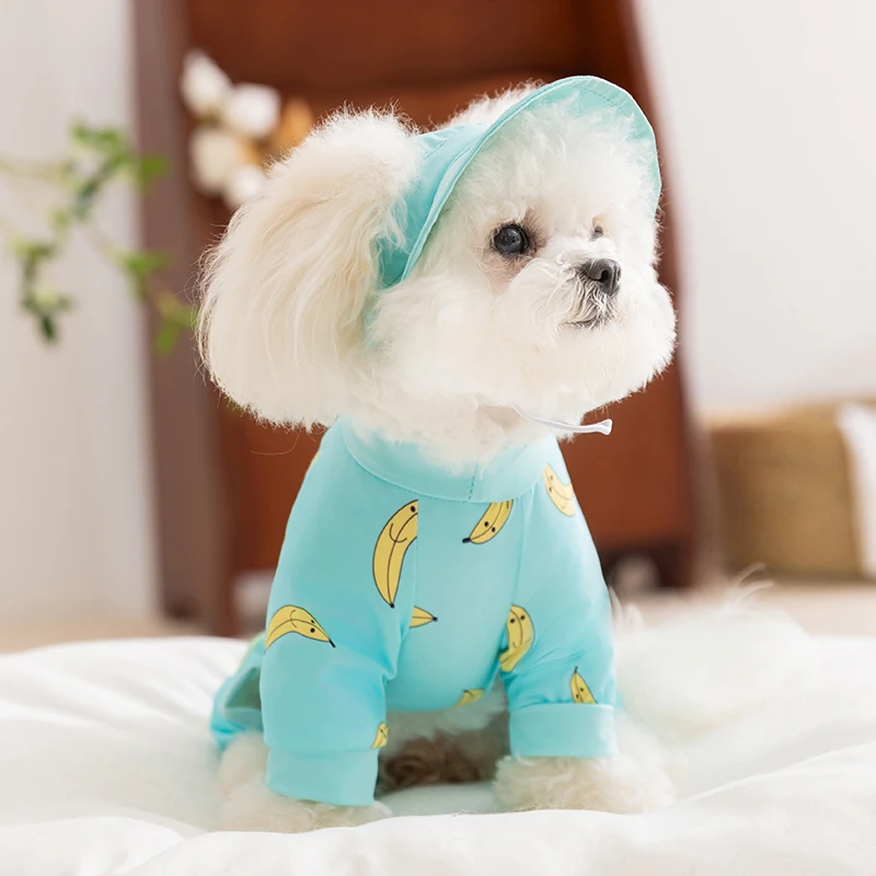 犬のお散歩グッズをコスパ良く揃える方法　徹底解説・実測で失敗しない選び方